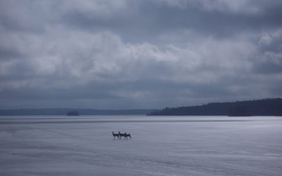 Thursday, March 18, 2010