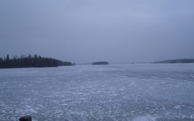 Friday, March 19, 2010