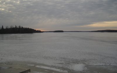 Monday, March 22, 2010