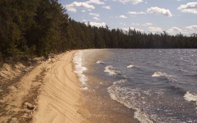 Tuesday, April 13, 2010