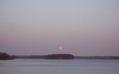 Wednesday, April 28, 2010