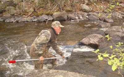 Wednesday, May 5, 2010