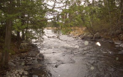 Thursday, May 7, 2010