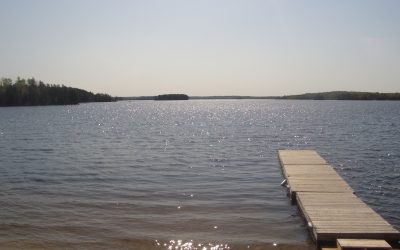 Saturday, May 15, 2010