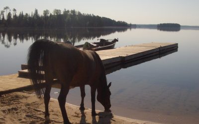 Tuesday May 18, 2010