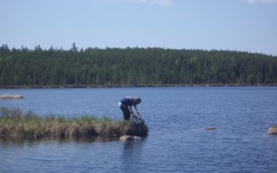 Wednesday, May 19, 2010