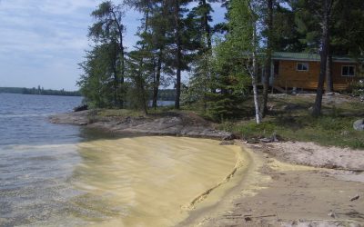 Friday, May 21, 2010