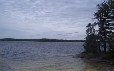 Saturday, May 22, 2010