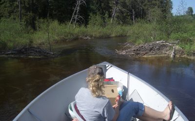 Thursday, May 27, 2010