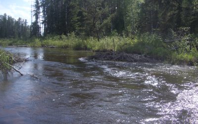 Tuesday May 25, 2010