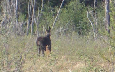 Monday, May 24, 2010