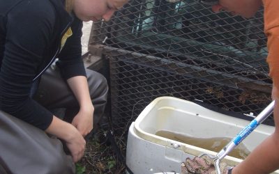 Saturday, May 29, 2010