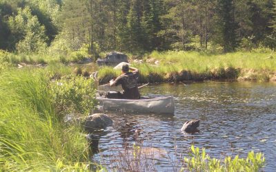 Wednesday, June 2, 2010