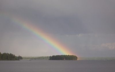 Tuesday, June 1, 2010