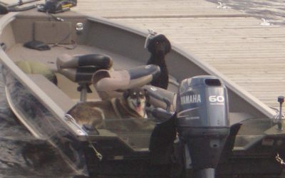 Sunday, June 27, 2010