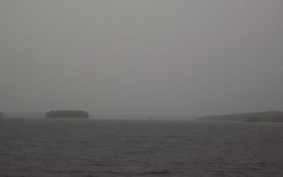 Thursday, July 1, 2010