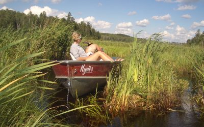 Tuesday, July 13, 2010