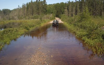 Sunday, July 18, 2010