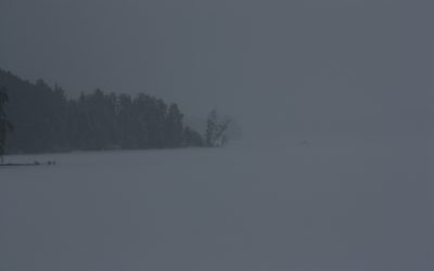 Tuesday February 21, 2012