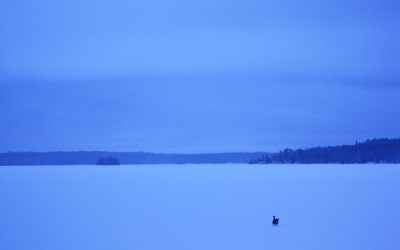 Wednesday February 22, 2012