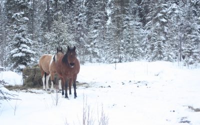 Friday February 24, 2012