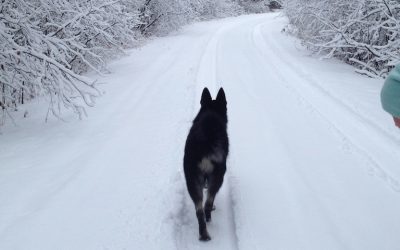 Tuesday December 18, 2012