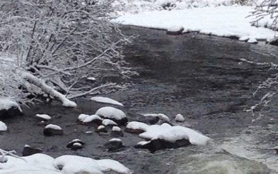 Monday december 17, 2013