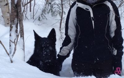 Tuesday February 19, 2013