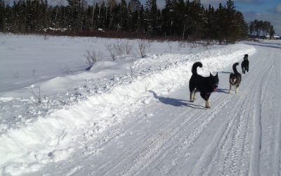 Tuesday March 12, 2013