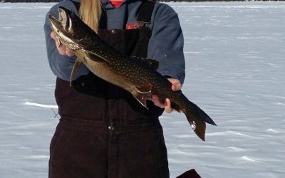 Saturday March 23, 2013