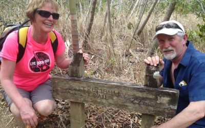 Saturday April 6, 2013