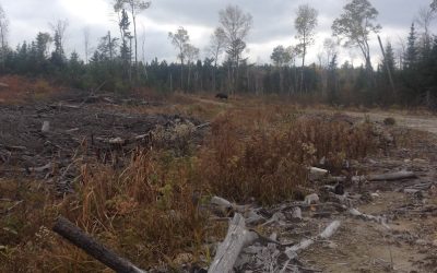 Thursday October 9, 2014