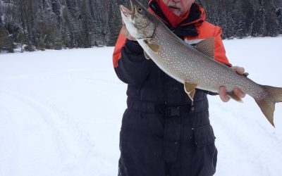 Sunday February 8, 2015