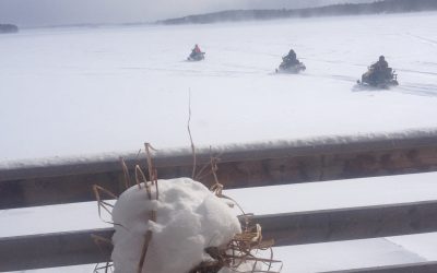 Wednesday February 25, 2015