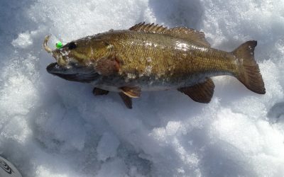 Thursday April 11, 2013