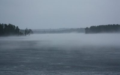 Friday MArch 23, 2012