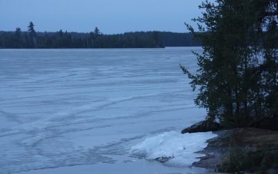 Friday March 20, 2015