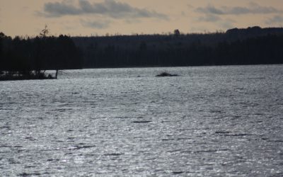 Thursday March 29, 2012