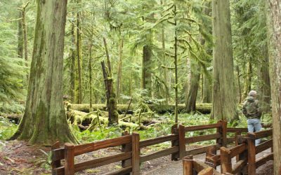 Friday April 13, 2011