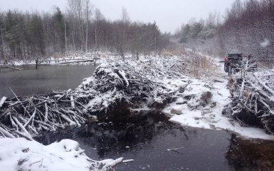 Wednesday April 22, 2014