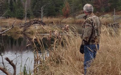 Friday November 1, 2013