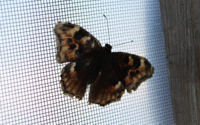 Friday, March 29, 2013