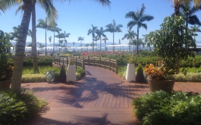 Tuesday February 4, 2014