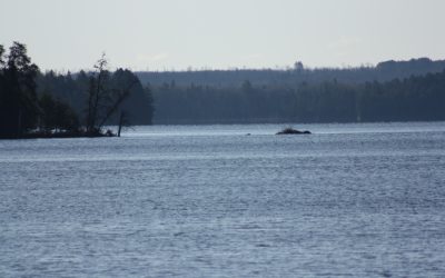 Thursday, April 26, 2012