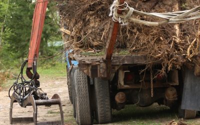 Wednesday May 23, 2012