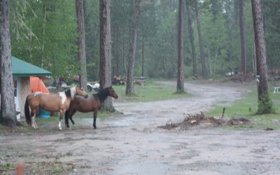 Thursday May 24, 2012