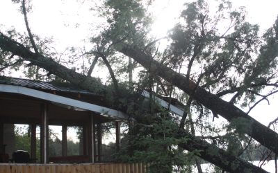 Monday June 11, 2012