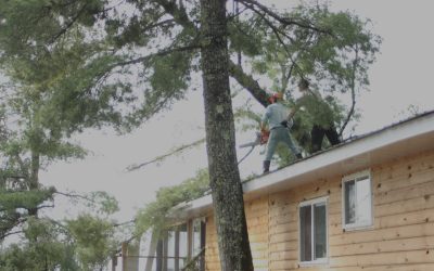 Tuesday June 12, 2012