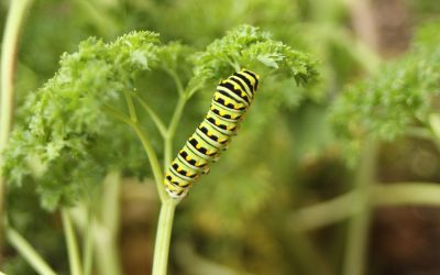 Sunday June 17, 2012