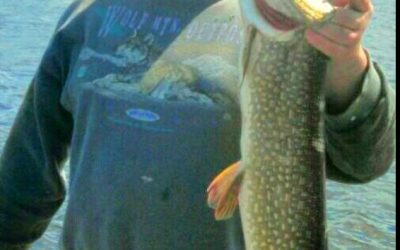 Monday June 16, 2014